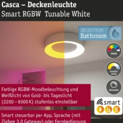 Paulmann 75415 Smart Home LED Deckenleuchte Casca Alu IP44 RGBW 40cm