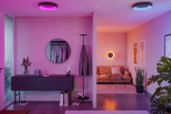 Paulmann 75416 Smart Home LED Deckenleuchte Casca schwarz IP44 RGBW 40cm