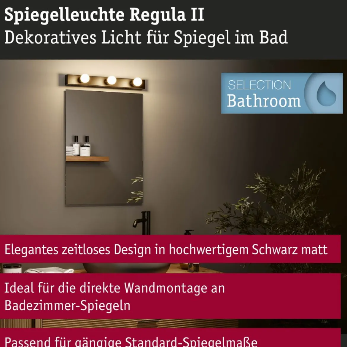 Paulmann 80097 Spiegelleuchte Regula II 3-flammig E14 Schwarz IP44