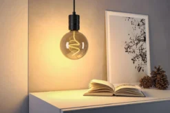 Paulmann 29238 Standard 230V LED Globe 125mm E27 150lm 1800K Rauchglas dimmbar