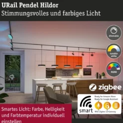Paulmann 95681 URail LED Pendel Hildor Zigbee RGBW 230V Schwarz matt