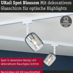 Paulmann 95700 URail Schienenspot Blossom G9 dimmbar 230V Signalweiß Rauchglas