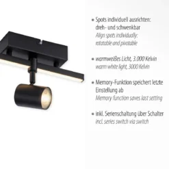 Paul Neuhaus 6523-18 BARIK LED Wand- und Deckenleuchte Schwarz