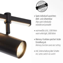Paul Neuhaus 6524-18 BARIK LED Wand- und Deckenleuchte 2-flammig Schwarz