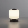 Paul Neuhaus 4037-13 Bota Tischleuchte anthrazit rund Touchdimmer