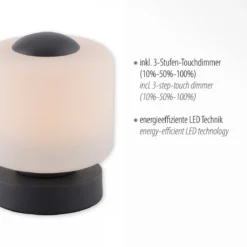 Paul Neuhaus 4037-13 Bota Tischleuchte anthrazit rund Touchdimmer