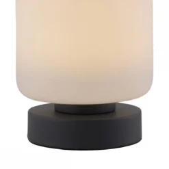 Paul Neuhaus 4037-13 Bota Tischleuchte anthrazit rund Touchdimmer