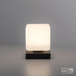 Paul Neuhaus 4036-13 Dadoa Tischleuchte anthrazit Touchdimmer