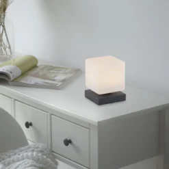 Paul Neuhaus 4036-13 Dadoa Tischleuchte anthrazit Touchdimmer