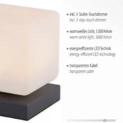 Paul Neuhaus 4036-13 Dadoa Tischleuchte anthrazit Touchdimmer