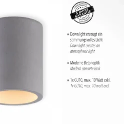 Paul Neuhaus 6160-22 ETON Deckenleuchte beton rund