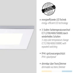 Paul Neuhaus 8123-17 FLAG LED-Panel rechteckig 120x10cm chrom CCT IP44