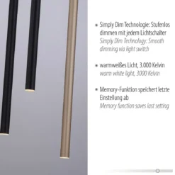 Paul Neuhaus 2110-18 Flute LED Pendelleuchte 10-flammig schwarz messing Simply Dim