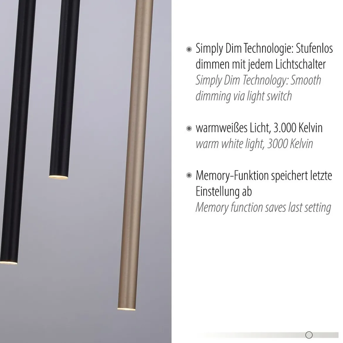 Paul Neuhaus 2110-18 Flute LED Pendelleuchte 10-flammig schwarz messing Simply Dim