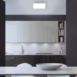Paul Neuhaus 8490-16 FRAMELESS 30 Deckenleuchte weiss