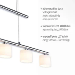 Paul Neuhaus 2209-55 HYDRA Pendelleuchte 5-flammig silberfarbig höhenverstellbar