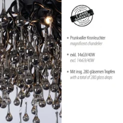 Paul Neuhaus 8092-18 ICICLE Deckenleuchte schwarz 14-flammig G9