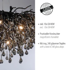 Paul Neuhaus 2192-18 ICICLE Kronleuchter schwarz 10-flammig G9