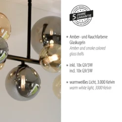 Paul Neuhaus 6583-18 LED Deckenleuchte schwarz rund Rauchglas Amberglas
