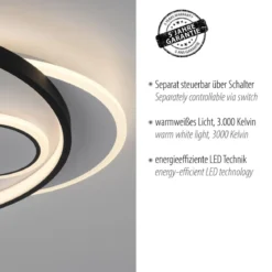 Paul Neuhaus 6392-16 LED Deckenleuchte rund schwarz weiß 3000K
