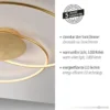 Paul Neuhaus 6189-12 LED Deckenleuchte gold dimmbar 3000K