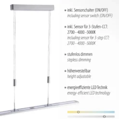 Paul Neuhaus 2565-95 LED Pendelleuchte aluminiumfarben höhenverstellbar dimmbar