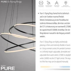 Paul Neuhaus 2566-15 Neuhaus PURE E-Flying Rings LED Pendelleuchte mystic grey (grau)