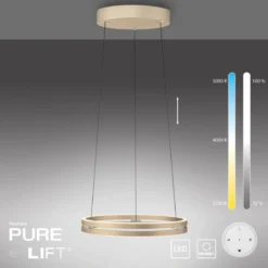 Paul Neuhaus 2550-60 Neuhaus PURE E-Loop LED Pendelleuchte ivory gold 2700-5000 K