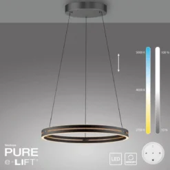 Paul Neuhaus 2551-18 Neuhaus PURE E-Loop LED Pendelleuchte oak black pearl 2700-5000 K