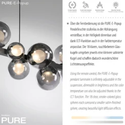 Paul Neuhaus 2557-15 Neuhaus PURE E-Popup LED Pendelleuchte platin (grau) 2700-5000 K