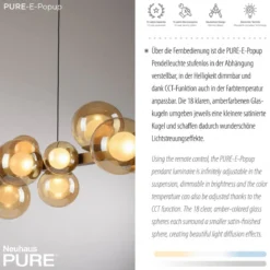 Paul Neuhaus 2557-97 Neuhaus PURE E-Popup LED Pendelleuchte bronce 2700-5000 K