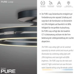 Paul Neuhaus 6552-15 Neuhaus PURE Loop LED Deckenleuchte mystic grey 2700-5000 K