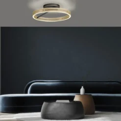 Paul Neuhaus 6552-68 Neuhaus PURE Loop LED Deckenleuchte black ivory gold 2700-5000 K