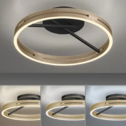 Paul Neuhaus 6552-68 Neuhaus PURE Loop LED Deckenleuchte black ivory gold 2700-5000 K