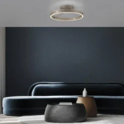 Paul Neuhaus 6552-97 Neuhaus PURE Loop LED Deckenleuchte bronce