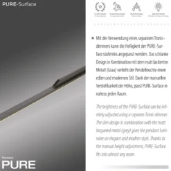 Paul Neuhaus 2302-15 Neuhaus PURE Surface LED Pendelleuchte platin(grau)  3000 K