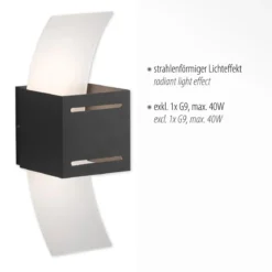 Paul Neuhaus 9007-13 ORMA Wandleuchte 1-flammig Anthrazit