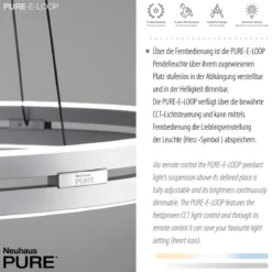 Paul Neuhaus 2551-95 PURE-E-LOOP LED Pendelleuchte stone (alu) elektrisch