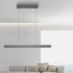 Paul Neuhaus 2570-15 PURE E-MOTION LED Pendelleuchte platin (grau) höhenverstellbar