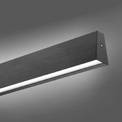 Paul Neuhaus 2570-15 PURE E-MOTION LED Pendelleuchte platin (grau) höhenverstellbar