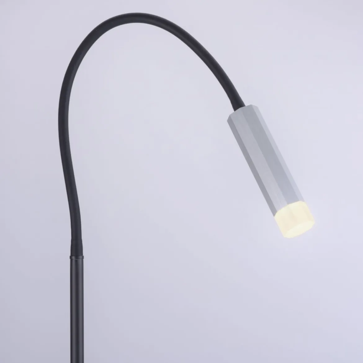Paul Neuhaus 238-95 PURE-GEMIN LED-XMO Stehleuchte aluminium mit Schalter