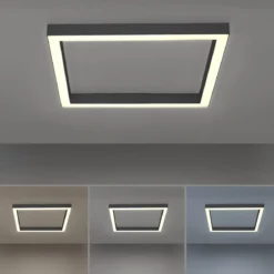 Paul Neuhaus 6022-13 PURE-LINES LED Deckenleuchte graphite CCT