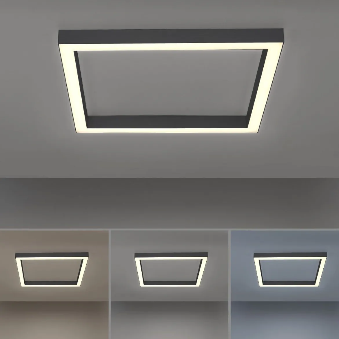 Paul Neuhaus 6022-13 PURE-LINES LED Deckenleuchte graphite CCT