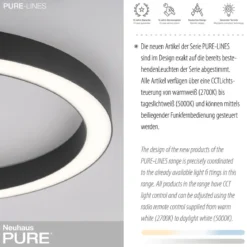 Paul Neuhaus 6309-13 PURE-LINES LED Deckenleuchte graphite CCT 50cm
