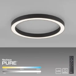 Paul Neuhaus 6309-13 PURE-LINES LED Deckenleuchte graphite CCT 50cm