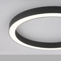 Paul Neuhaus 6309-13 PURE-LINES LED Deckenleuchte graphite CCT 50cm