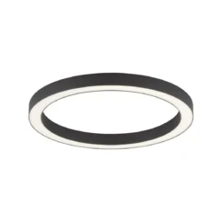 Paul Neuhaus 6309-13 PURE-LINES LED Deckenleuchte graphite CCT 50cm