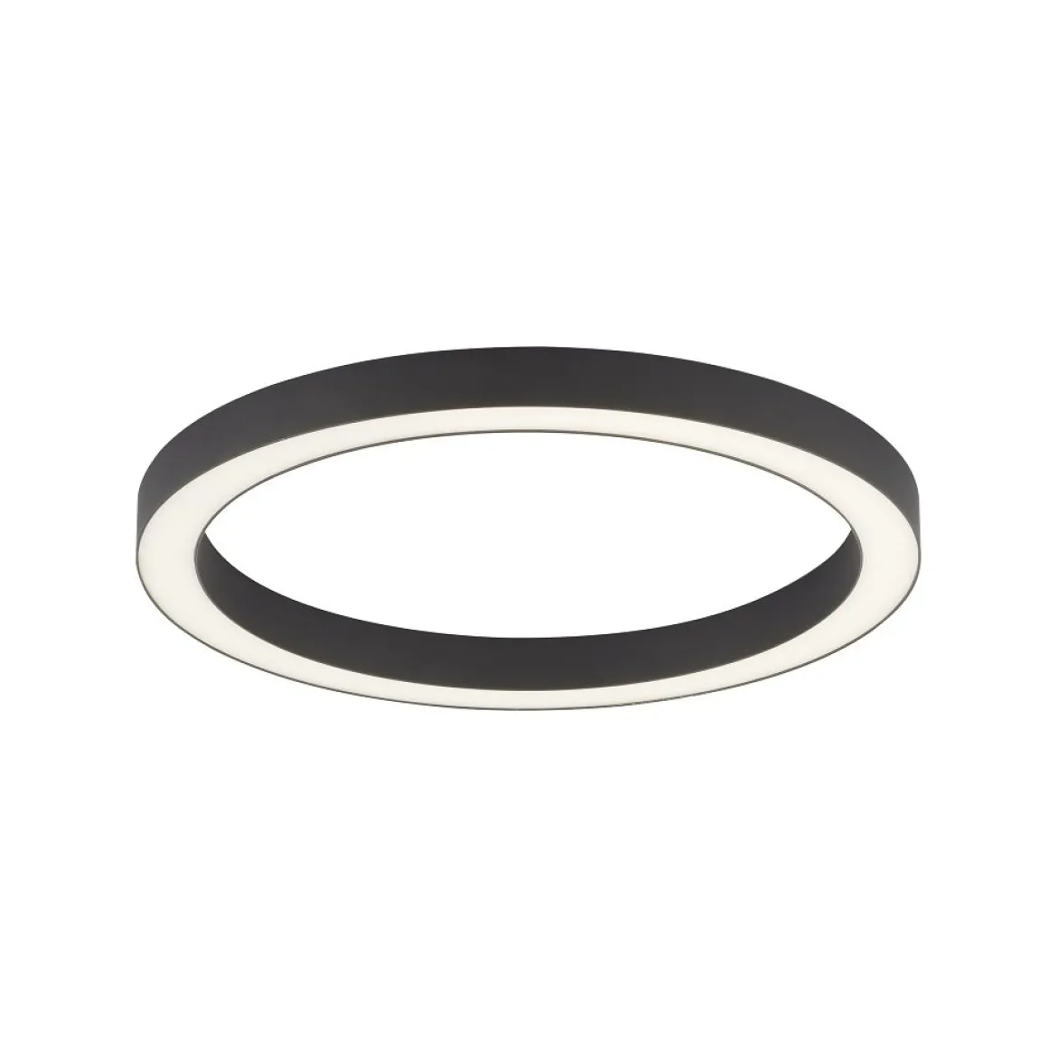 Paul Neuhaus 6309-13 PURE-LINES LED Deckenleuchte graphite CCT 50cm