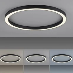 Paul Neuhaus 6306-13 PURE-LINES LED Deckenleuchte graphite CCT 70cm