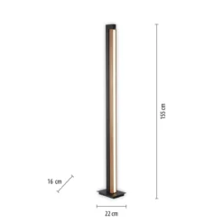 Paul Neuhaus 451-79 PURE-LINES LED Stehleuchte oak graphite CCT